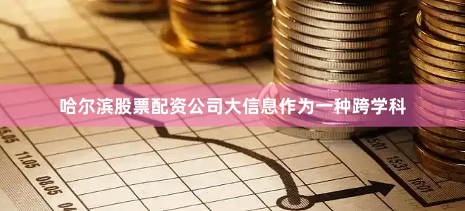 哈尔滨股票配资公司大信息作为一种跨学科