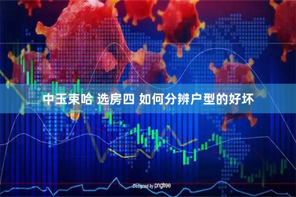 中玉束哈 选房四 如何分辨户型的好坏