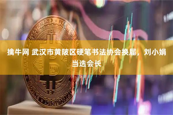 擒牛网 武汉市黄陂区硬笔书法协会换届，刘小娟当选会长
