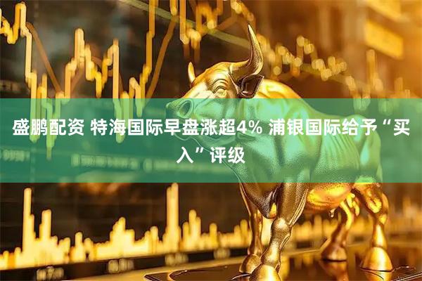 盛鹏配资 特海国际早盘涨超4% 浦银国际给予“买入”评级